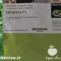 فروش بذر خیار گلخانه ای نگین در گرگان در گروه خرید و فروش بذر خیار در یکمیوه