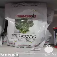 قیمت خرید بذر اسفناج در تبریز در گروه خرید و فروش انواع بذر در یکمیوه
