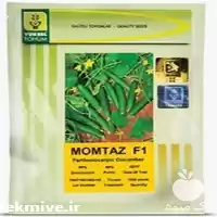 فروش بذر خیار ممتاز در گروه خرید و فروش بذر خیار در یکمیوه