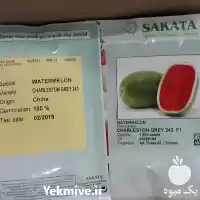 فروش عرضه بذر هندوانه چارلستون در گروه خرید و فروش بذر هندوانه در یکمیوه