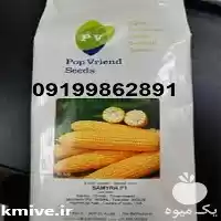 قیمت خرید قیمت بذر ذرت سمیرا در گروه خرید و فروش ذرت در یکمیوه