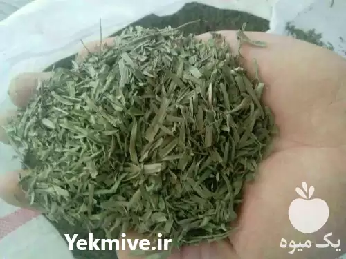 خرید فروش عمده سبزی ترخون خشک در بروجرد در گروه خرید و فروش سبزی های برگی در یکمیوه -عکس1