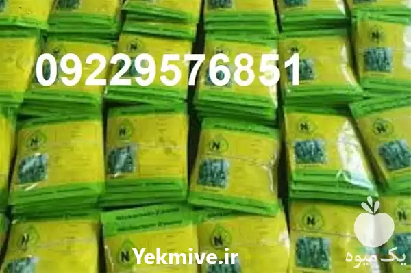 قیمت بذر خیار کیهان فروش بذر در شیراز در گروه خرید و فروش بذر خیار در یکمیوه -عکس1