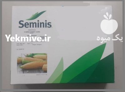 فروش بذر ذرت مسنجر 1000 عددی در اهواز در گروه خرید و فروش بذر ذرت در یکمیوه -عکس1