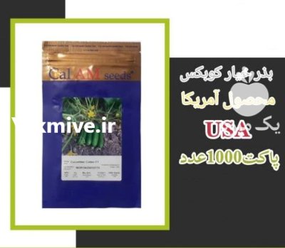 فروش بذر خیار فضای باز کوبکس در اهواز در گروه خرید و فروش بذر خیار در یکمیوه -عکس1