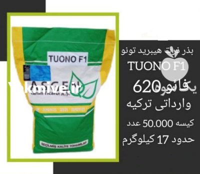فروش بذر ذرت هیبرید تونو ارسال در گروه خرید و فروش بذر ذرت در یکمیوه -عکس1