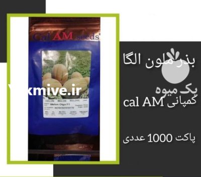 فروش بذر ملون الگا ارسال در اهواز در گروه خرید و فروش بذر ملون در یکمیوه -عکس1