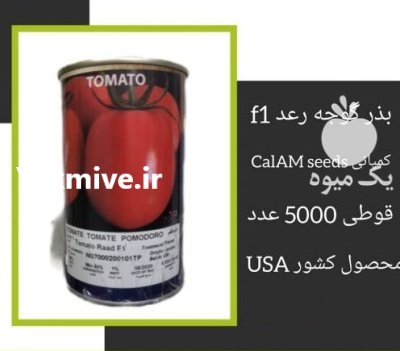 فروش بذر گوجه فرنگی RAAD F 1 در اهواز در گروه خرید و فروش بذر گوجه در یکمیوه -عکس1