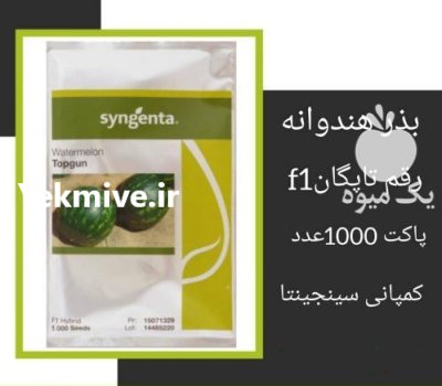 فروش بذر هندوانه TOPGUN سینجینتا سوئیس در اهواز در گروه خرید و فروش بذر هندوانه در یکمیوه -عکس1