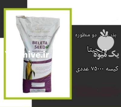 فروش بذر ذرت زودرس ویچیتا آمریکایی در اهواز در گروه خرید و فروش بذر ذرت در یکمیوه -عکس1