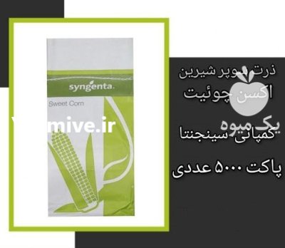 فروش بذر ذرت زودرس اکسن چوییت در اهواز در گروه خرید و فروش بذر ذرت در یکمیوه -عکس1