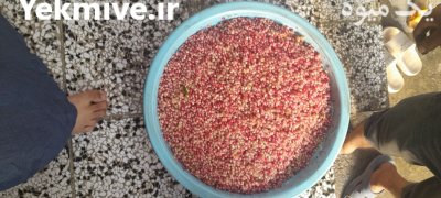 انار ترش ربی در کلاله در گلستان در گروه خرید و فروش انار در یکمیوه -عکس3