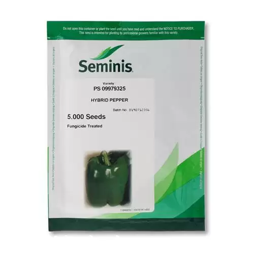 فروش فلفل دلمه 9325 سمینیس در یزد در گروه خرید و فروش فلفل در یکمیوه -عکس1