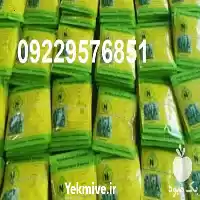 قیمت بذر خیار کیهان فروش بذر در شیراز در گروه خرید و فروش بذر خیار در یکمیوه