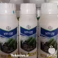 فروش سم نماتدکش ولوم با نازل در گروه خرید و فروش انواع سم در یکمیوه