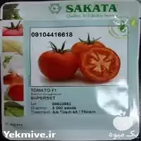 قیمت و فروش بذر گوجه فرنگی در اصفهان در گروه خرید و فروش بذر گوجه در یکمیوه