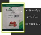 فروش بذر گوجه باسیموf 1 سمینیس ارسال در اهواز در گروه خرید و فروش بذر گوجه در یکمیوه