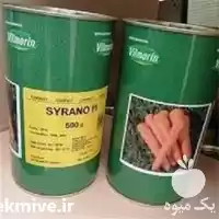 قیمت خرید بذر سیرانو در تبریز در گروه خرید و فروش بذر سیر در یکمیوه