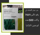 بذر خیار گلخانه ای NAGENE 792 در اهواز در گروه خرید و فروش بذر خیار در یکمیوه