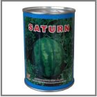 فروش بذر هندوانه SATURN در گروه خرید و فروش بذر هندوانه در یکمیوه