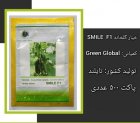 فروش بذر خیار گلخانه ای SMILE در اهواز در گروه خرید و فروش بذر خیار در یکمیوه