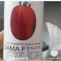 فروش بذر گوجه فرنگی سما بذر در ایلام در گروه خرید و فروش بذر گوجه در یکمیوه