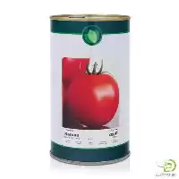 فروش بذر گوجه فرنگی کارون در گروه خرید و فروش بذر گوجه در یکمیوه