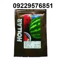 بذر هندوانه هولار پرفروش در اهواز در گروه خرید و فروش هندوانه در یکمیوه