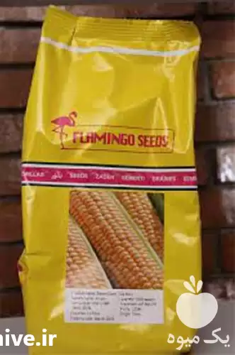 فروش بذر ذرت شیرین سمیرا در اهواز در گروه خرید و فروش بذر ذرت در یکمیوه -عکس1