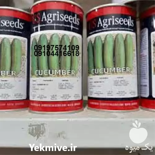 قیمت خرید بذر خیار گلخانه ای در تهران در گروه خرید و فروش بذر خیار در یکمیوه -عکس1