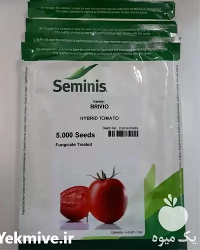 فروش بذر گوجه فرنگی بریویو در تهران در گروه خرید و فروش بذر گوجه در یکمیوه -عکس1
