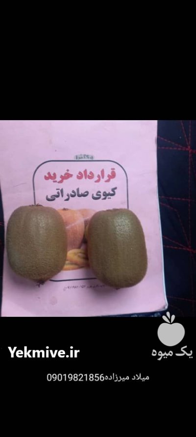 بسته بندی و سورت کیوی سوپر صادراتی در آستارا در گروه خرید و فروش کیوی در یکمیوه -عکس1