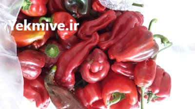 فلفل قرمز در تبریز در گروه خرید و فروش فلفل در یکمیوه -عکس1