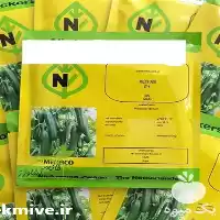 قیمت خرید عرضه بذر خیار کیهان در بوشهر در گروه خرید و فروش بذر خیار در یکمیوه