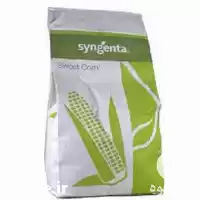 فروش بذر ذرت اکسن چوییت در گروه خرید و فروش بذر ذرت در یکمیوه