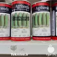 قیمت خرید بذر خیار گلخانه ای در تهران در گروه خرید و فروش بذر خیار در یکمیوه