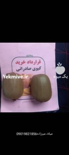 بسته بندی و سورت کیوی سوپر صادراتی در آستارا در گروه خرید و فروش کیوی در یکمیوه