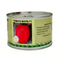 قیمت خرید بذر پر بار گوجه در گروه خرید و فروش گوجه فرنگی در یکمیوه