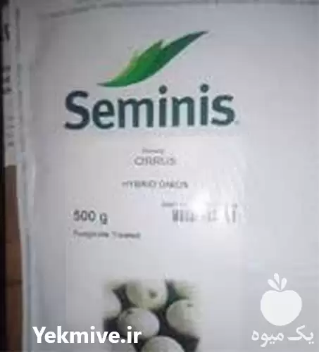 فروش بذر پیاز سایروس در بندرلنگه در گروه خرید و فروش بذر پیاز در یکمیوه -عکس1