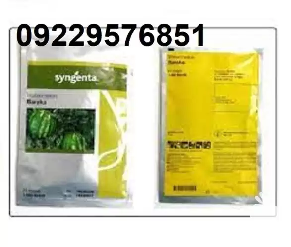 بذر هندوانه باراکا پر فروش اصل در اهواز در گروه خرید و فروش هندوانه در یکمیوه -عکس1