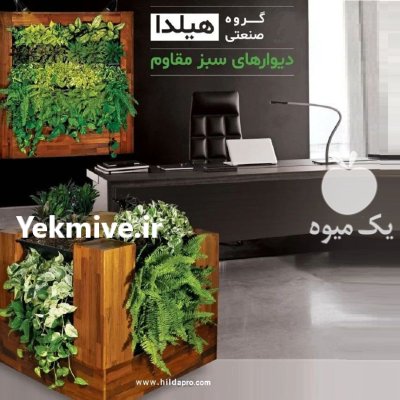 گلدان زینتی چراغ دار هیلدا در تهران در گروه خرید و فروش گیاهان زینتی در یکمیوه -عکس1