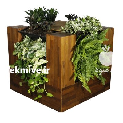 گلدان زینتی چراغ دار هیلدا در تهران در گروه خرید و فروش گیاهان زینتی در یکمیوه -عکس2