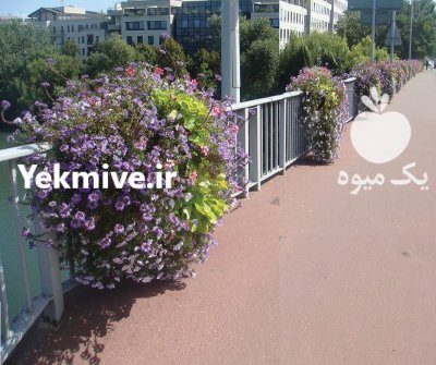 فلاورباکس خورجینی هیلدا مستطیل گلدان پالونی در تهران در گروه خرید و فروش تجهیزات گلخانه در یکمیوه -عکس4