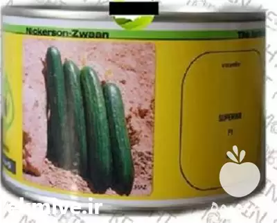 قیمت خرید بذر خیار فضای باز در گروه خرید و فروش بذر خیار در یکمیوه -عکس1