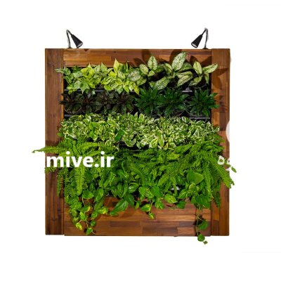 دیوار گل آماده مدرن و زیبا گلدان در تهران در گروه سازنده در یکمیوه -عکس1