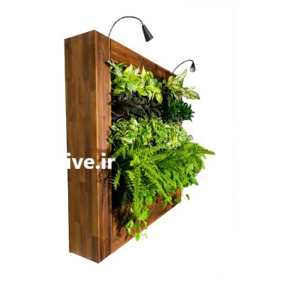 دیوار گل آماده مدرن و زیبا گلدان در تهران در گروه سازنده در یکمیوه -عکس2