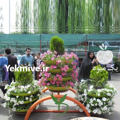 گلدان طبقاتی سازه ای هیلدا فلاورباکس در تهران در گروه سازنده در یکمیوه -عکس3