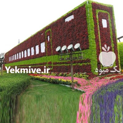 گلدان طبقاتی قطارسبز فلاورباکس احجام قطار در تهران در گروه خرید و فروش گیاهان زینتی در یکمیوه -عکس1