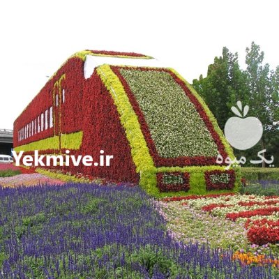 گلدان طبقاتی قطارسبز فلاورباکس احجام قطار در تهران در گروه خرید و فروش گیاهان زینتی در یکمیوه -عکس2