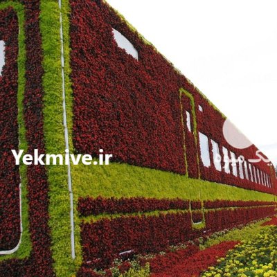 گلدان طبقاتی قطارسبز فلاورباکس احجام قطار در تهران در گروه خرید و فروش گیاهان زینتی در یکمیوه -عکس3